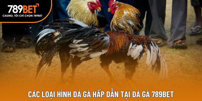 Các loại hình đá gà hấp dẫn tại Đá gà 789BET