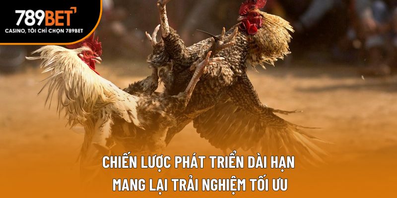 Chiến lược phát triển dài hạn mang lại trải nghiệm tối ưu