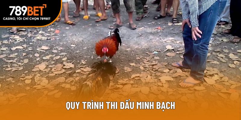 Quy trình thi đấu minh bạch