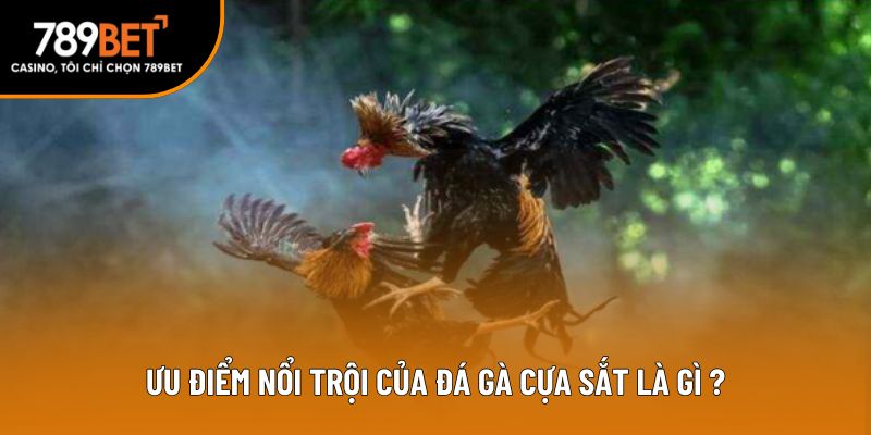 Ưu điểm nổi trội của đá gà cựa sắt là gì?