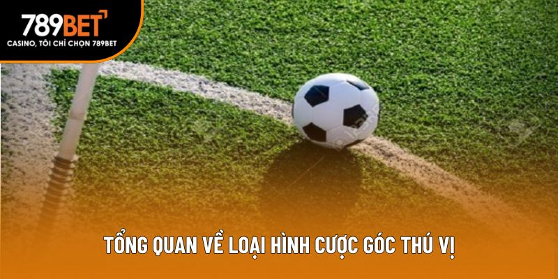 Tổng quan về loại hình cược góc thú vị